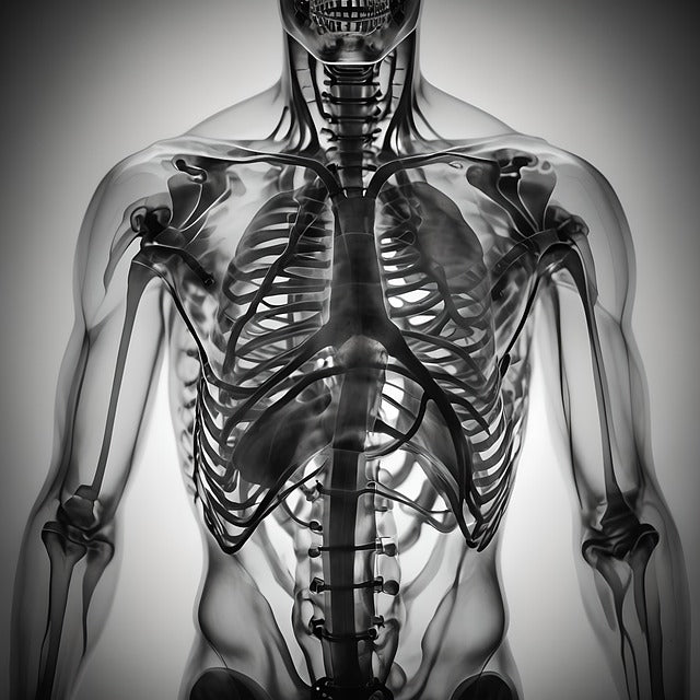 Magnesium and Bone Health: The Missing Link You Need
