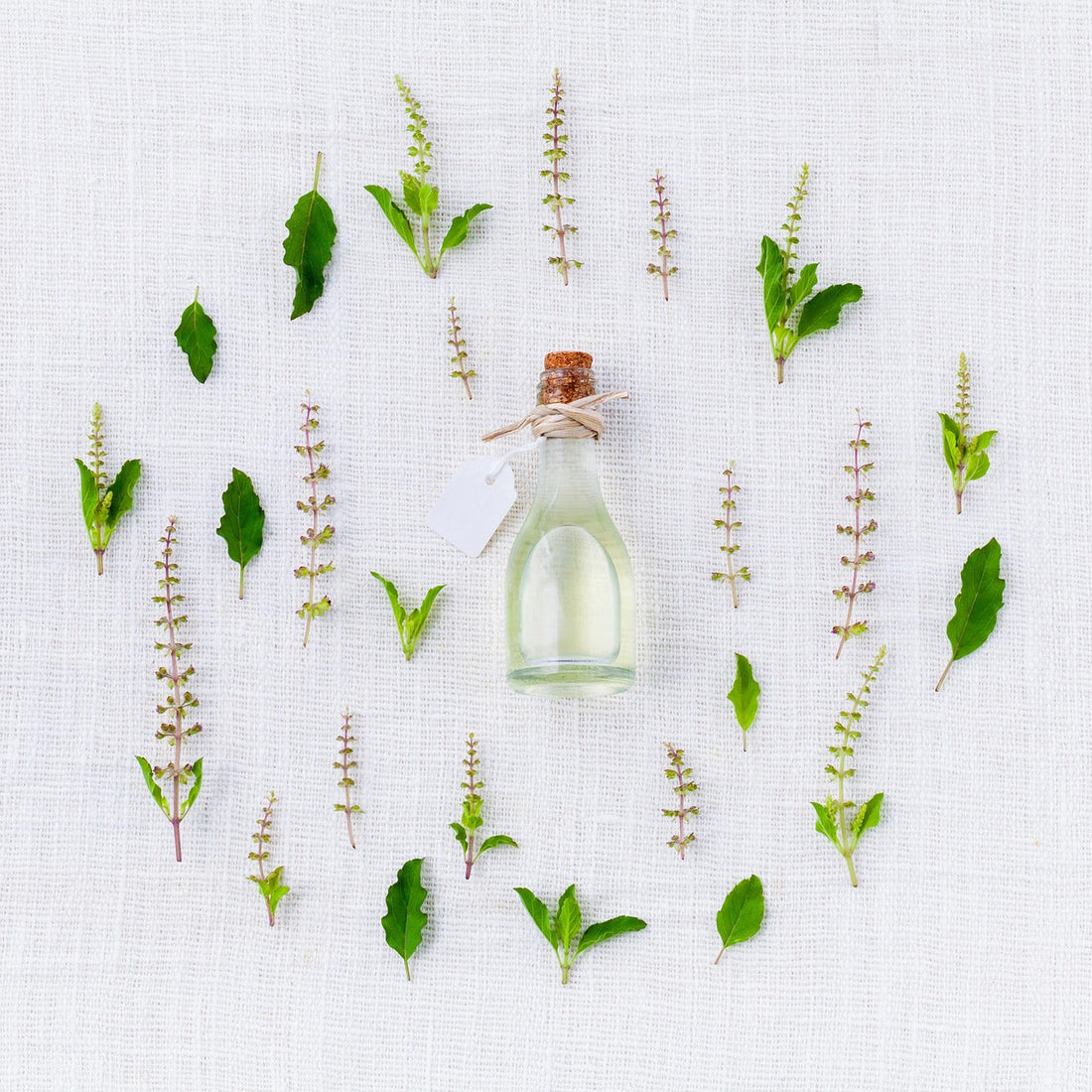 Bottle of natural skincare oil surrounded by fresh green herb leaves arranged on a white fabric background for best skincare ingredients concept