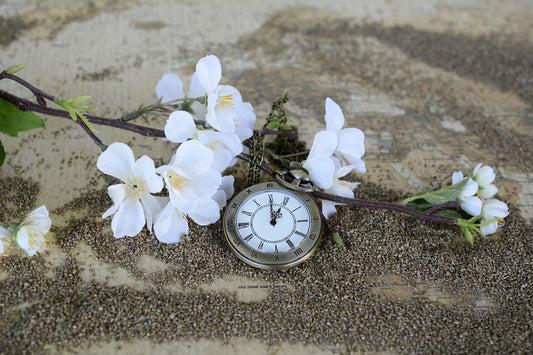 Vintage pocket watch showing midnight surrounded by white flowers on sandy ground representing best time to take probiotics concept