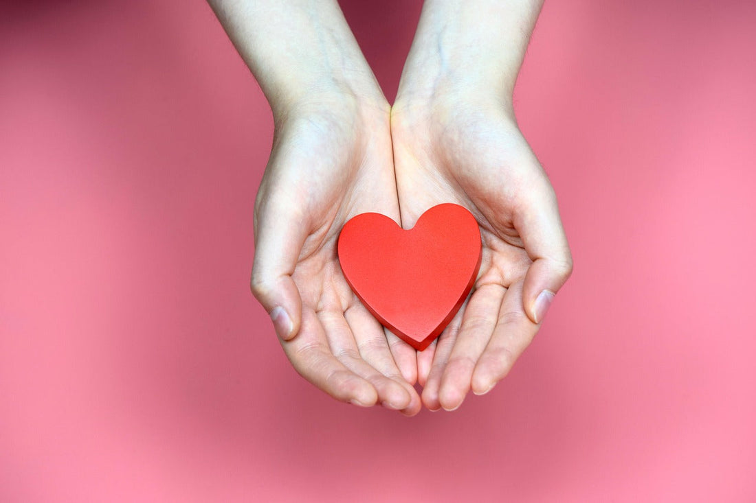 Hands holding a red heart shape symbolizing how to improve heart health fast with L-Arginine and CoQ10 supplements.