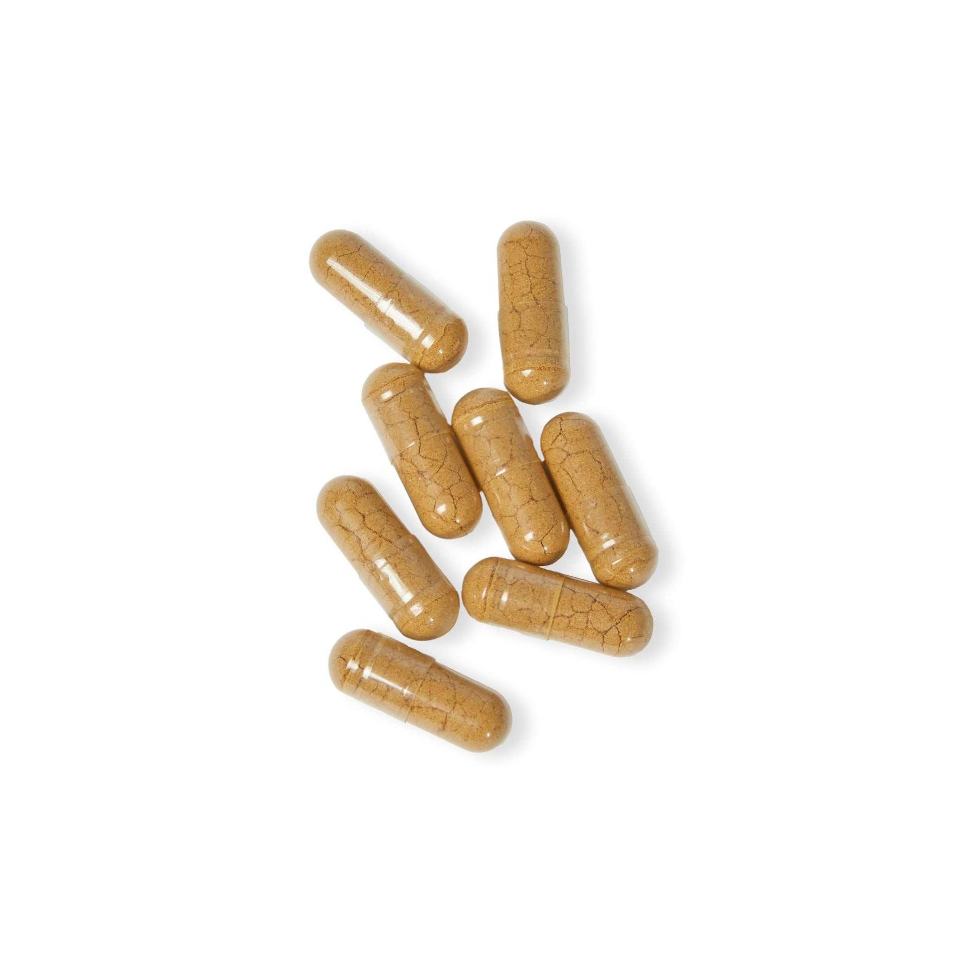 Mushroom Powder Benefits SUPERFOOD COMPLEX Mushroom Blend Supplement bottle with 60 capsules, featuring Cordyceps, Shiitake, and Lion's Mane for brain and energy support. Discover the Mushroom Powder Benefits. Power through your busiest days with focus, clarity, and natural energy. Your daily ally for enhanced vitality and wellness. 